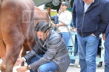  El alcalde de Telde se va con 'Rosita' (Foto TA)
